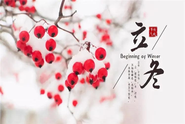 秋走冬又至，立冬啦